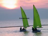 Twilight Race